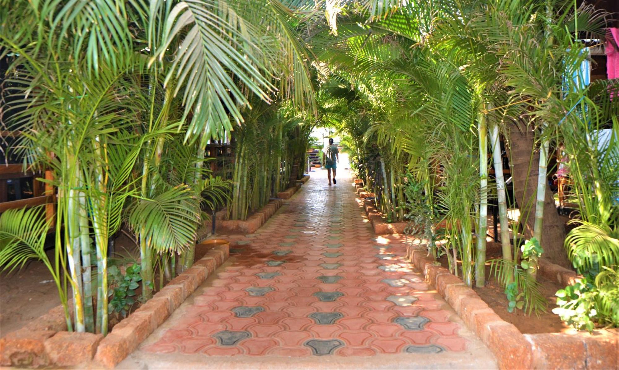 Agonda Sunset Beach Resort Exterior foto